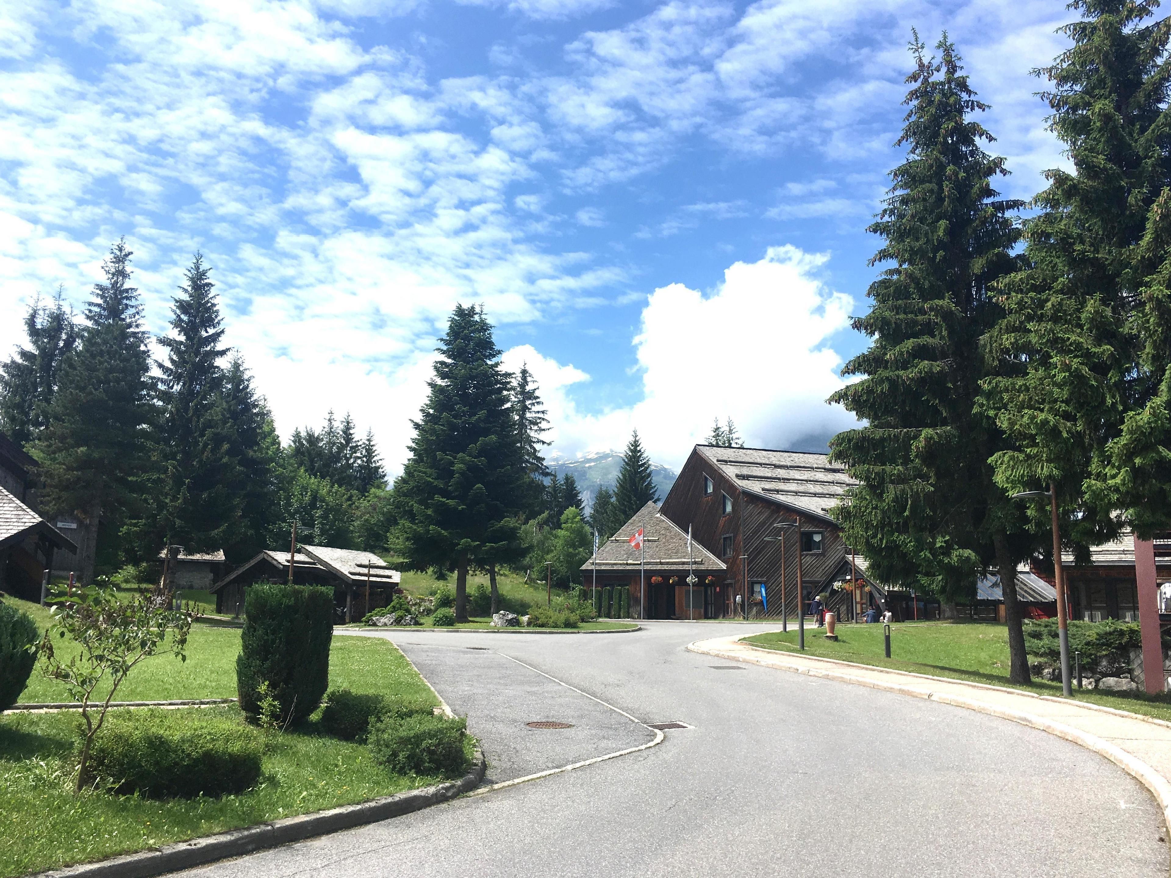 Ein Wohngebiet mit Holzhäusern, einer gewundenen Straße und einem Berg im Hintergrund.