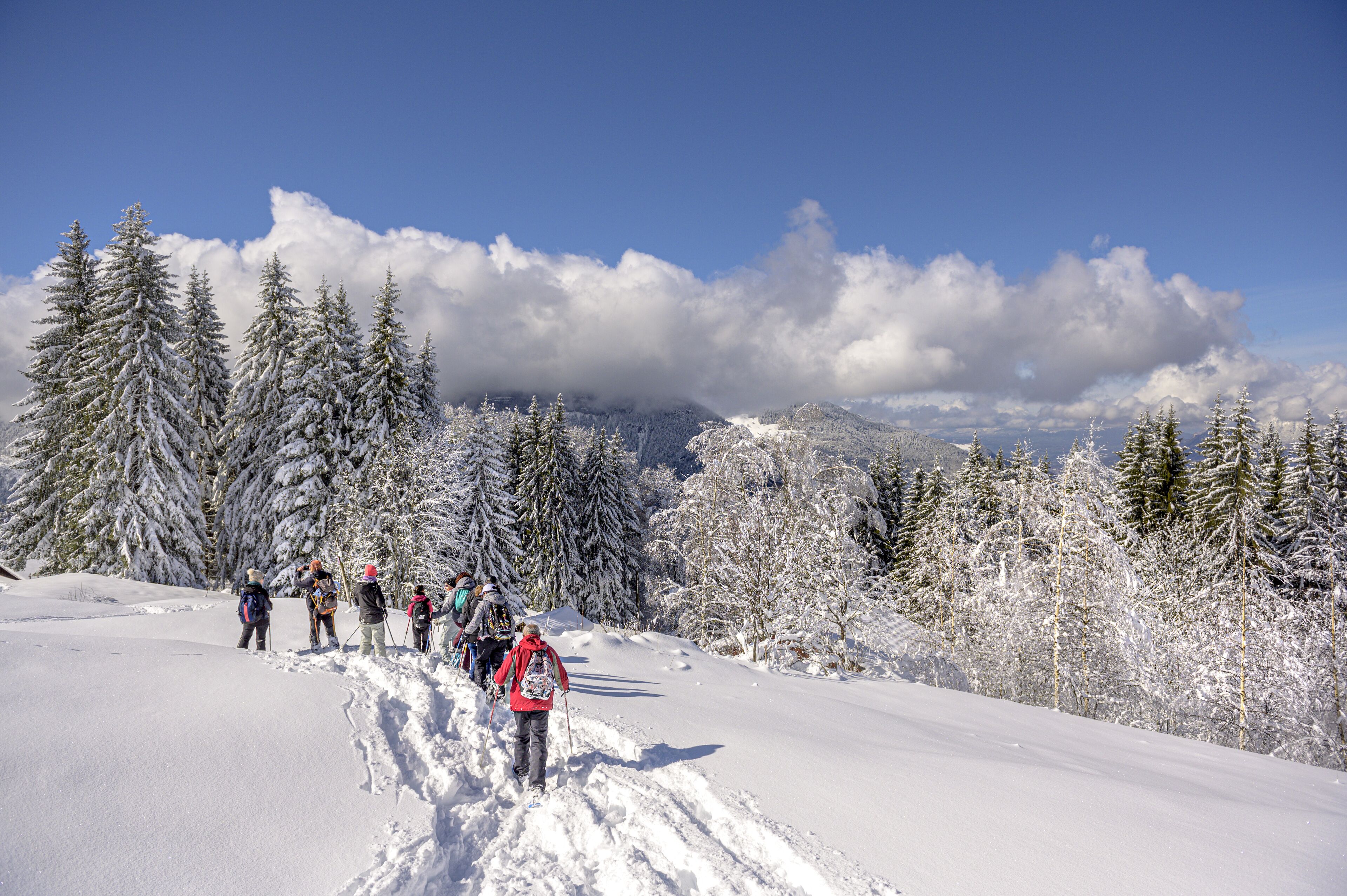 Paesaggio innevato con un gruppo di persone che fanno un'escursione.