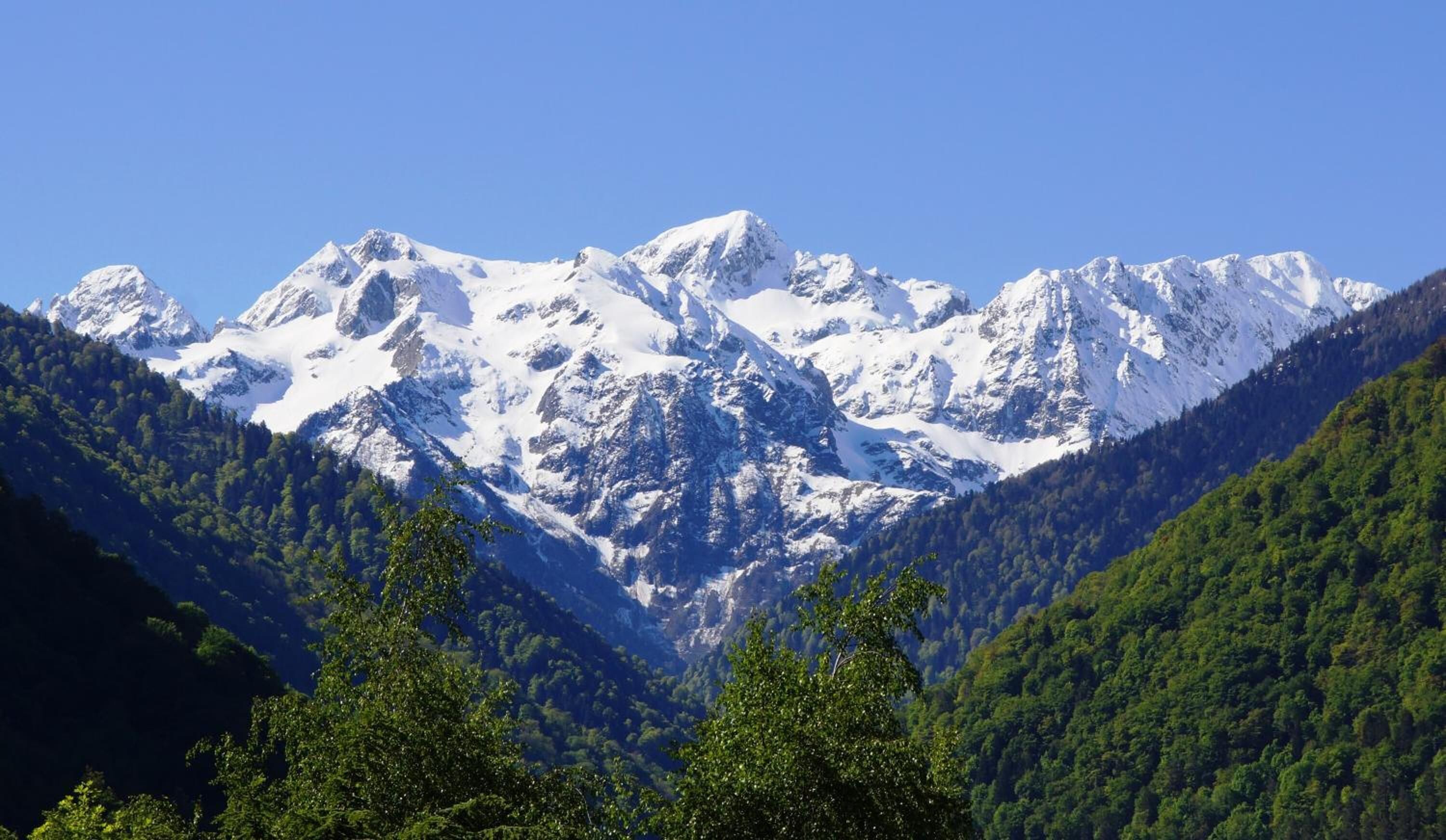 A mountain range with snow-capped peaks and dense forested valleys.