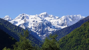 A mountain range with snow-capped peaks and dense forested valleys.
