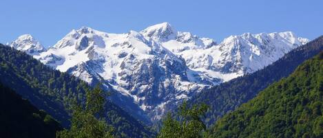 A mountain range with snow-capped peaks and dense forested valleys.