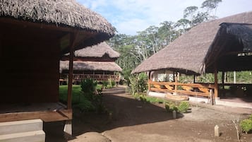 Courtyard view