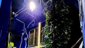 Ein mit Fliesen belegter Weg führt zu einem Gebäude mit einem Metallgitter, umgeben von Grünpflanzen und einer blauen Mauer.