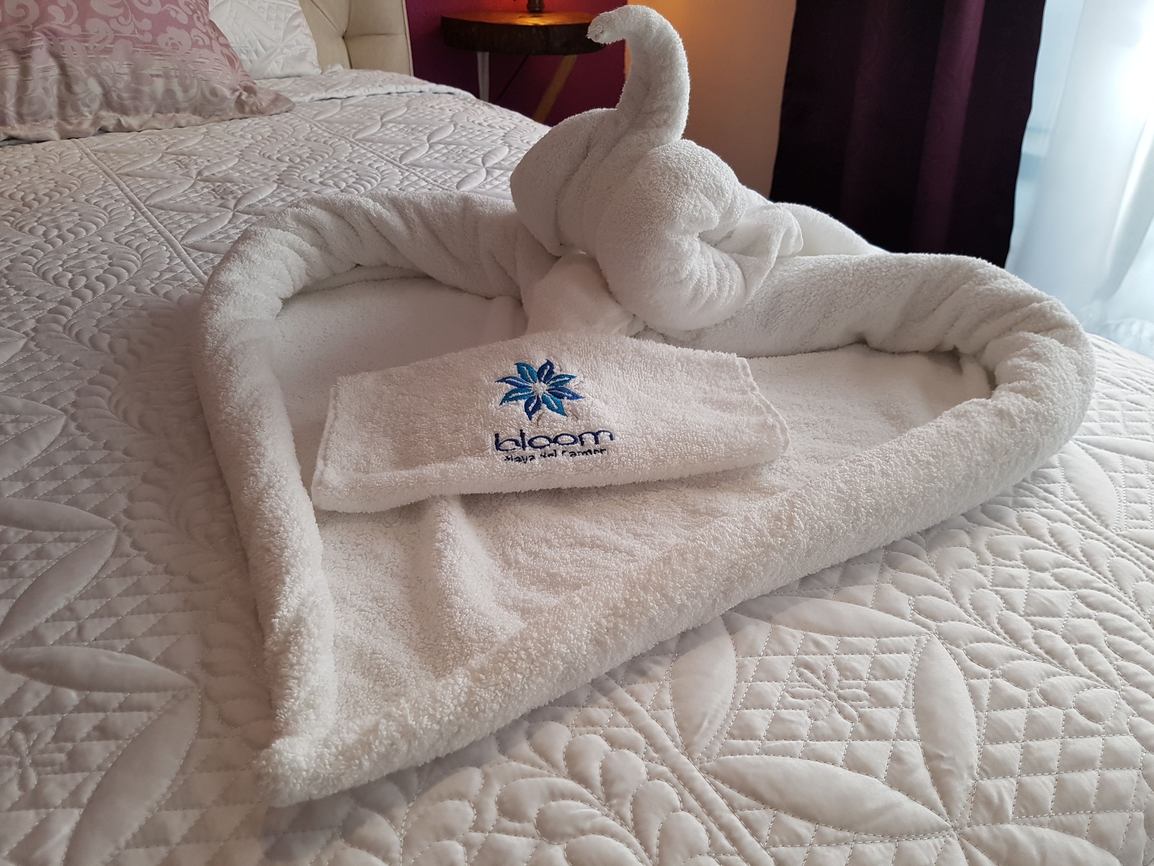 Foto - Bloom! exclusive boutique b&b