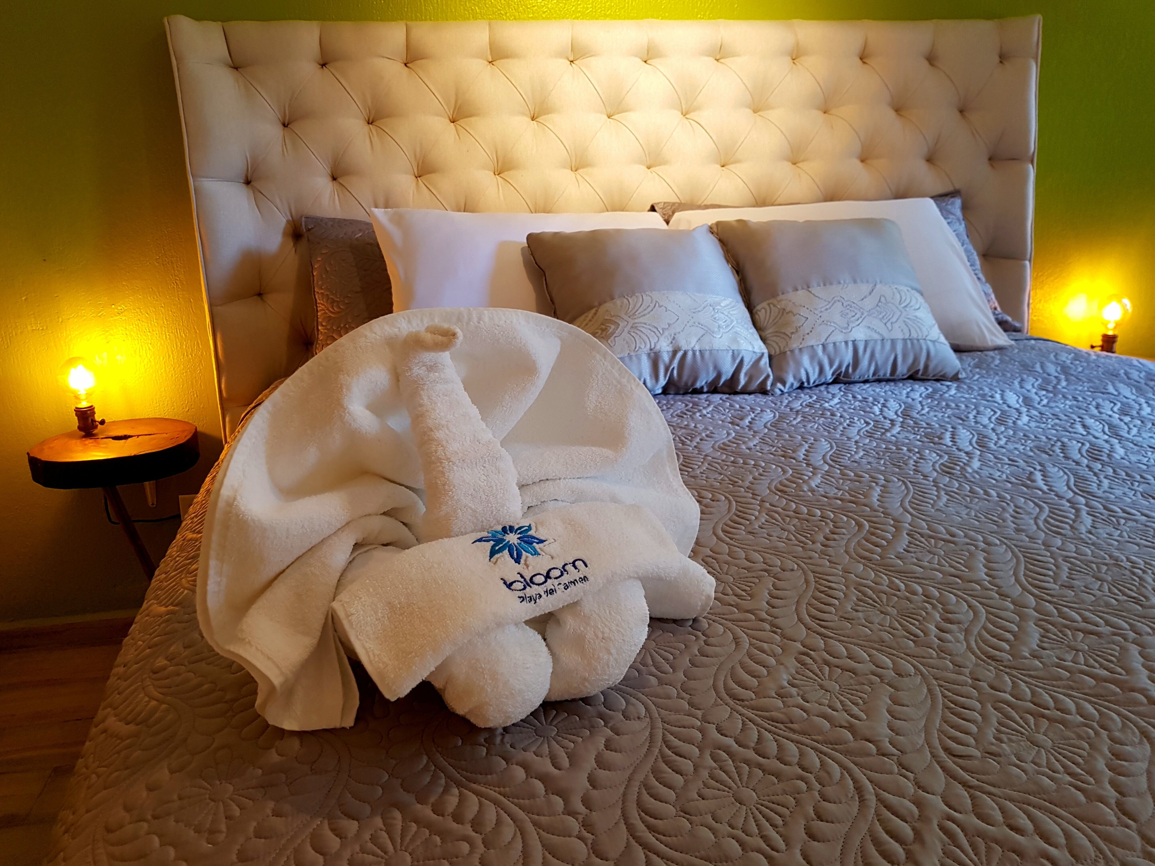 Foto - Bloom! exclusive boutique b&b