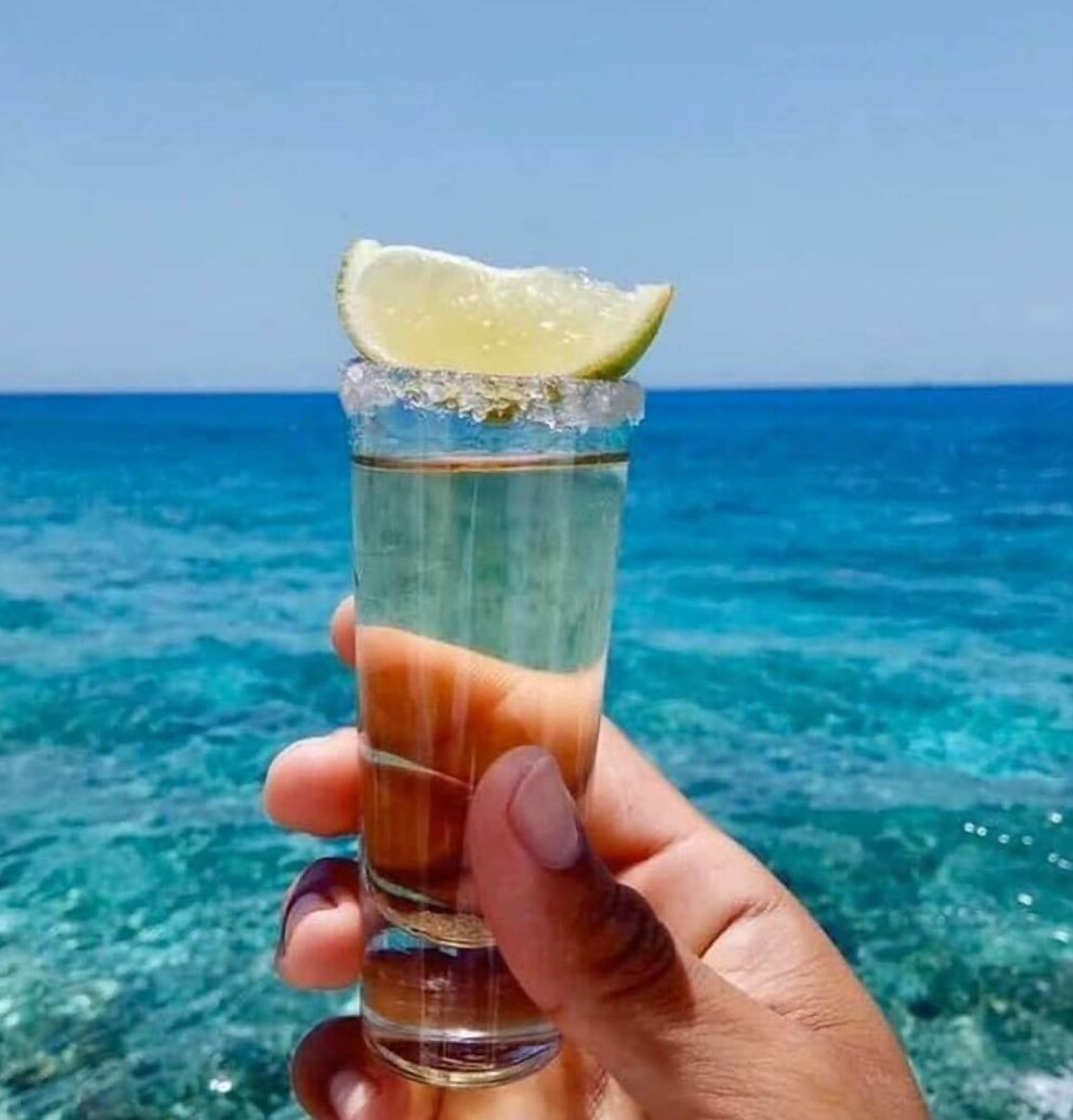 Foto - Bloom! exclusive boutique b&b