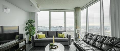 48-英寸纯平电视(配备数码频道)、电视、Netflix