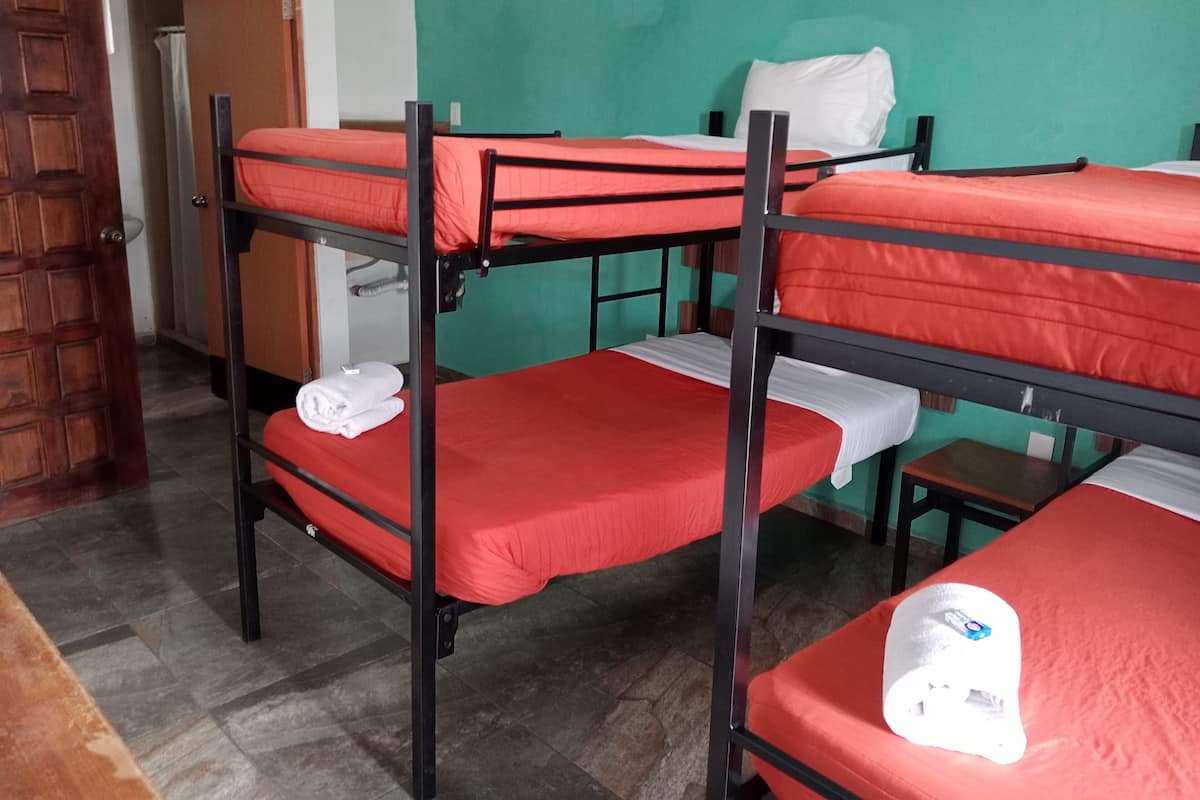 A bunk bed room with a green wall, a wooden door, and a small table.
