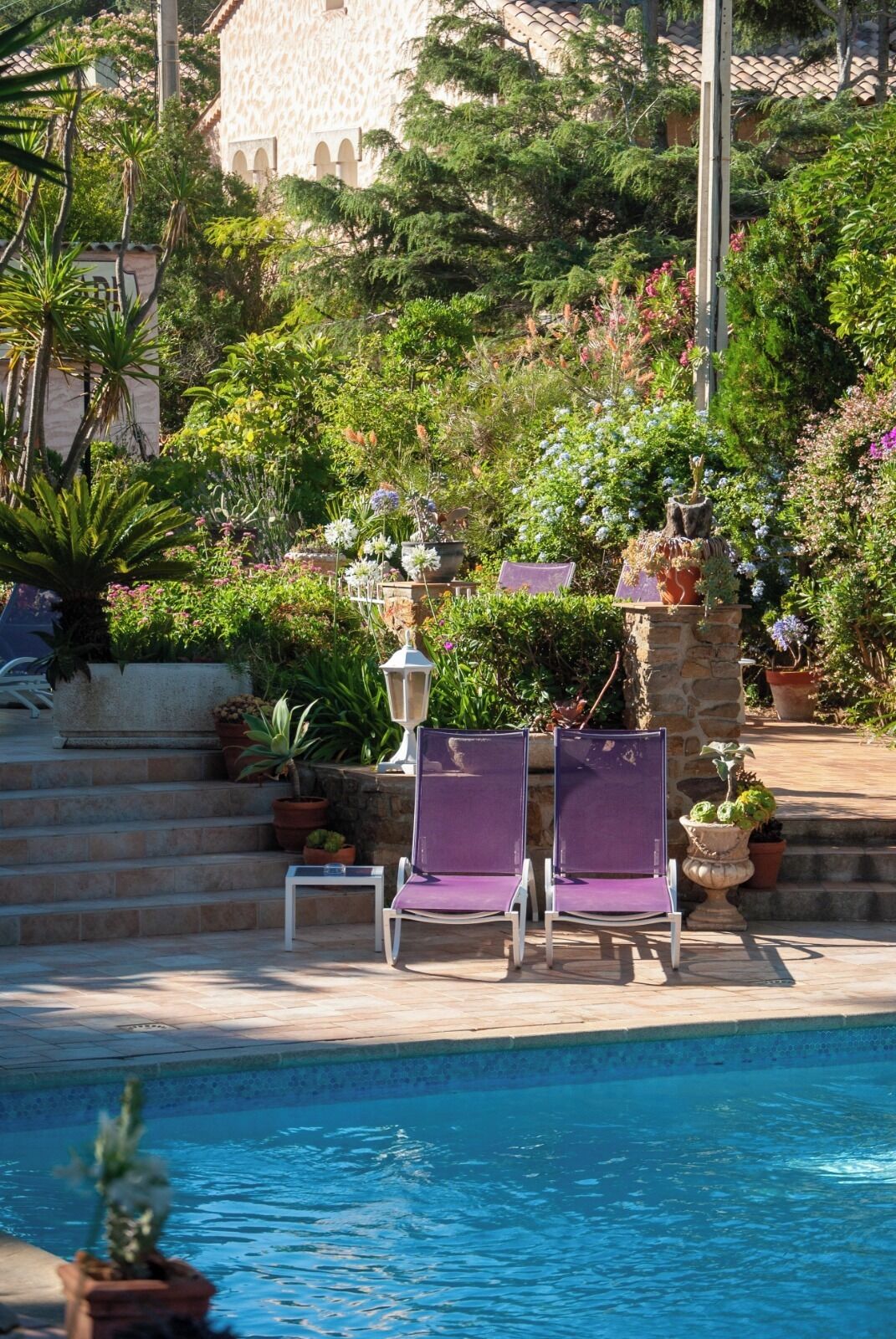 Un área de piscina con dos sillones reclinables morados, un muro de piedra con plantas en macetas y un edificio con techo de tejas al fondo.