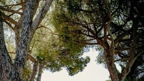 واجهة المنشأة
