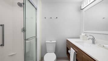 A modern bathroom with a glass shower enclosure, a toilet, and a vanity with a mirror.