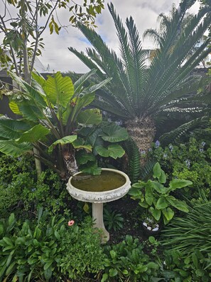 Jardí