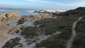A rocky coastal path with a view of the ocean. - Paternoster Hotel (Paternoster)