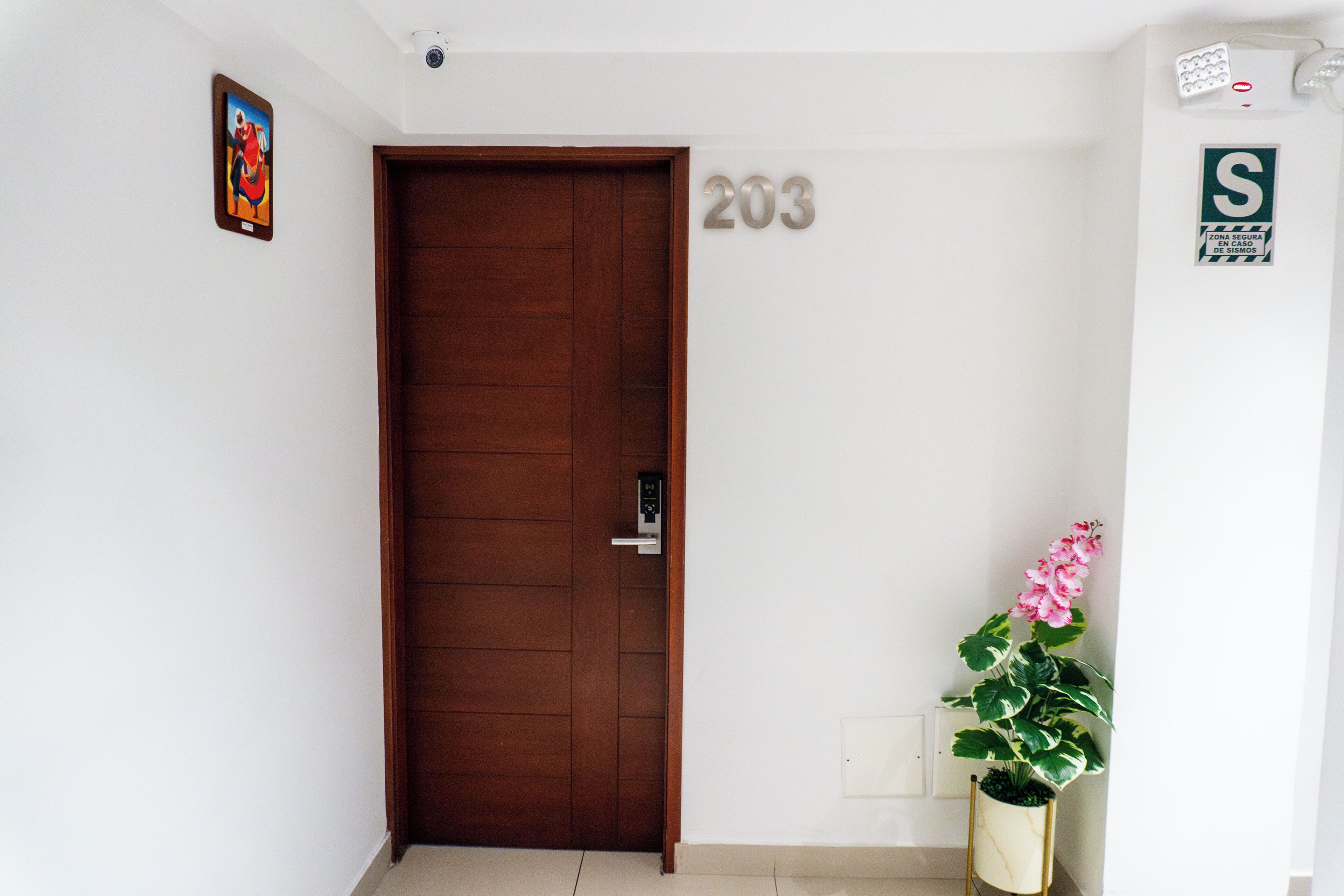 A wooden door with a digital lock, a number '203' on the wall, a security sign, and a potted plant with pink flowers.
