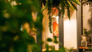 A warmly lit room with a brick wall, a hanging plant, and a window with a view. - J Poshtel Chiangmai (Chiang Mai)