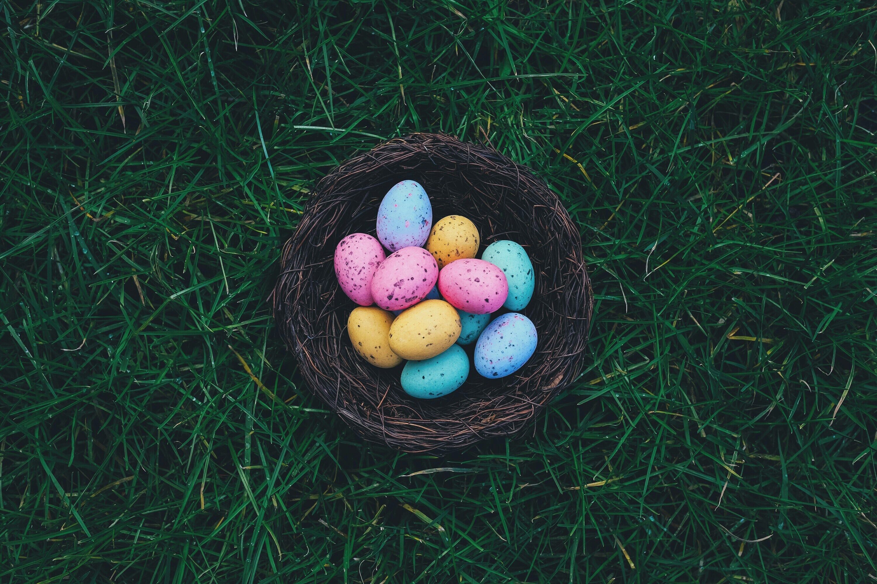 Un nido con huevos de colores sobre hierba verde.