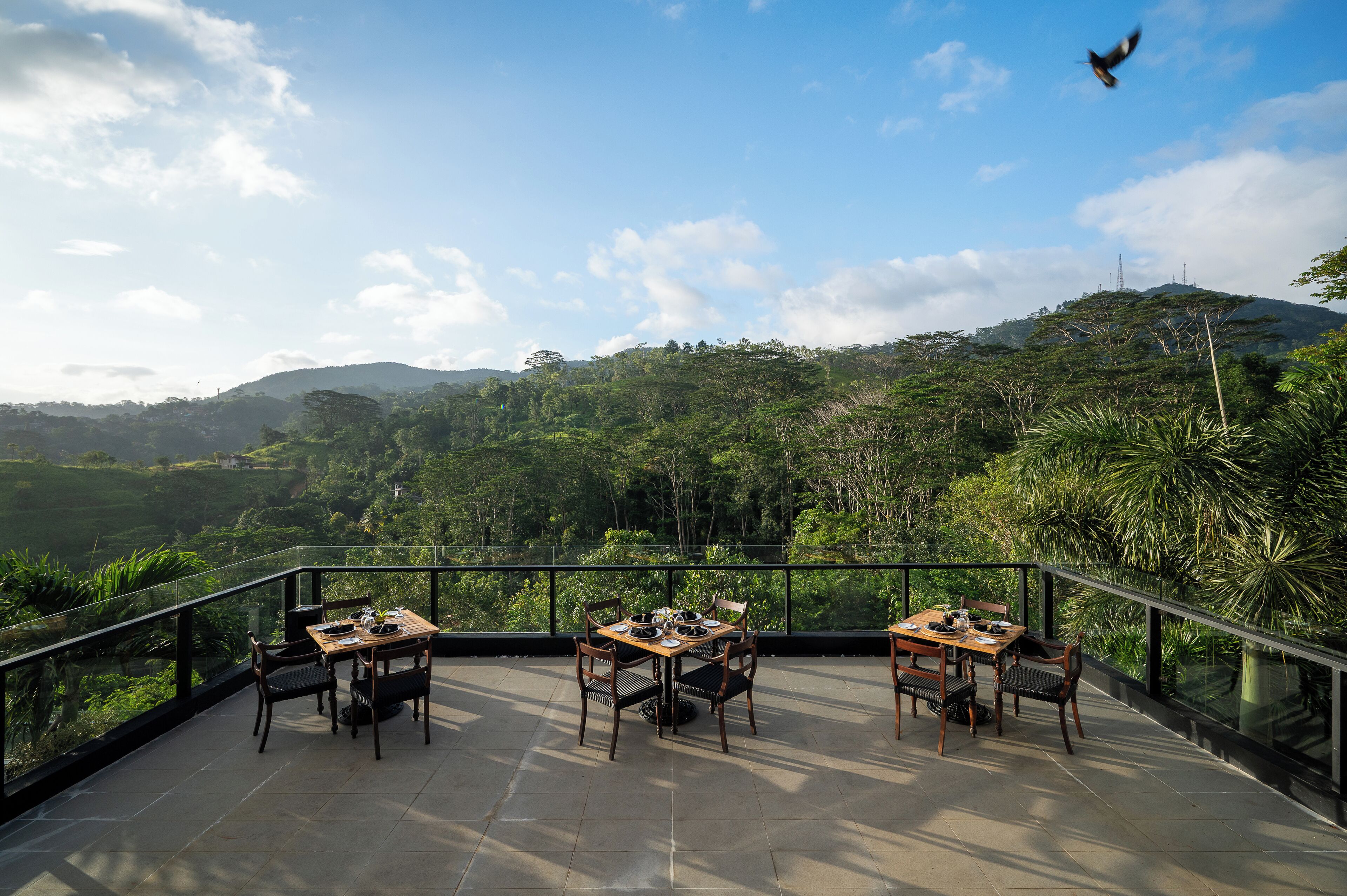 Internasjonale retter