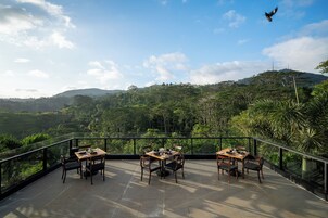 International cuisine