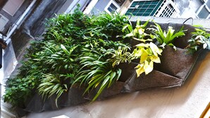 A vertical garden with various plants and flowers, set against a building facade. - SLEEEP Soho (Hong Kong)