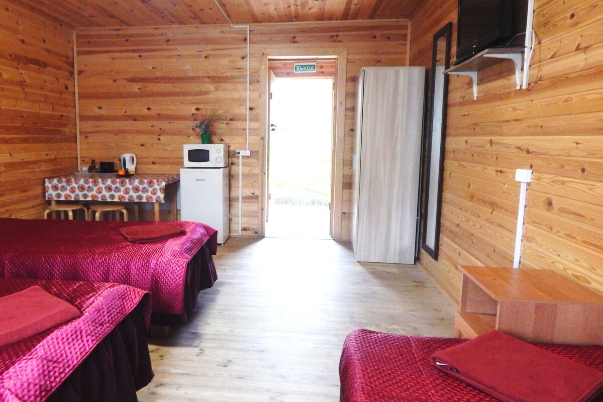 Una cabaña con dos camas, una kitchenette y un televisor.