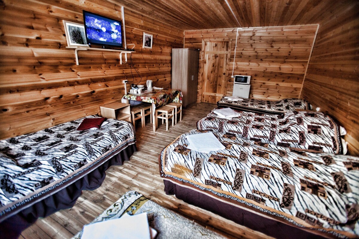 Habitación de cabaña de madera con dos camas, un escritorio, una silla, un televisor y un refrigerador.