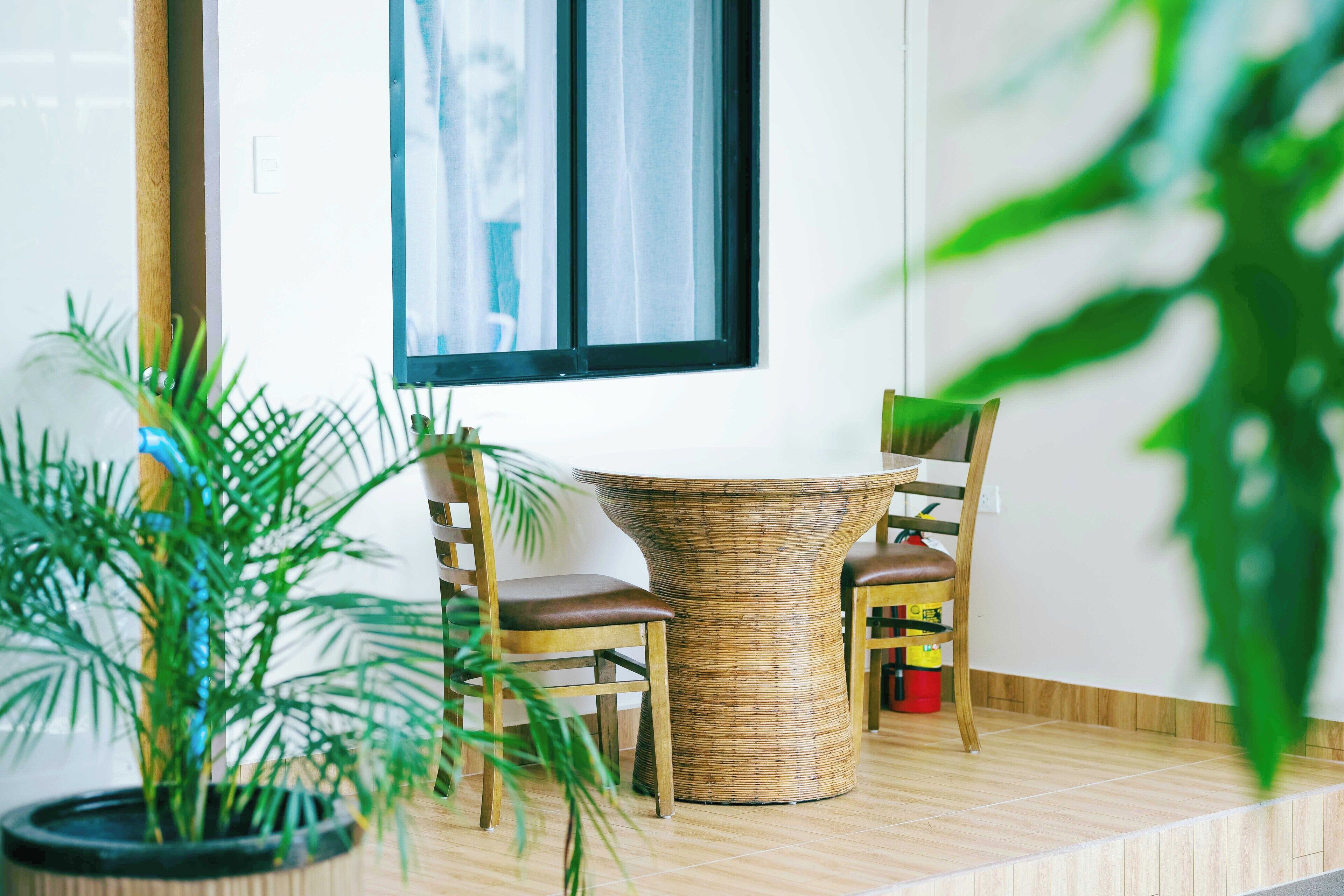 A room with a round wicker table, two wooden chairs, a potted plant, and a window with a view.