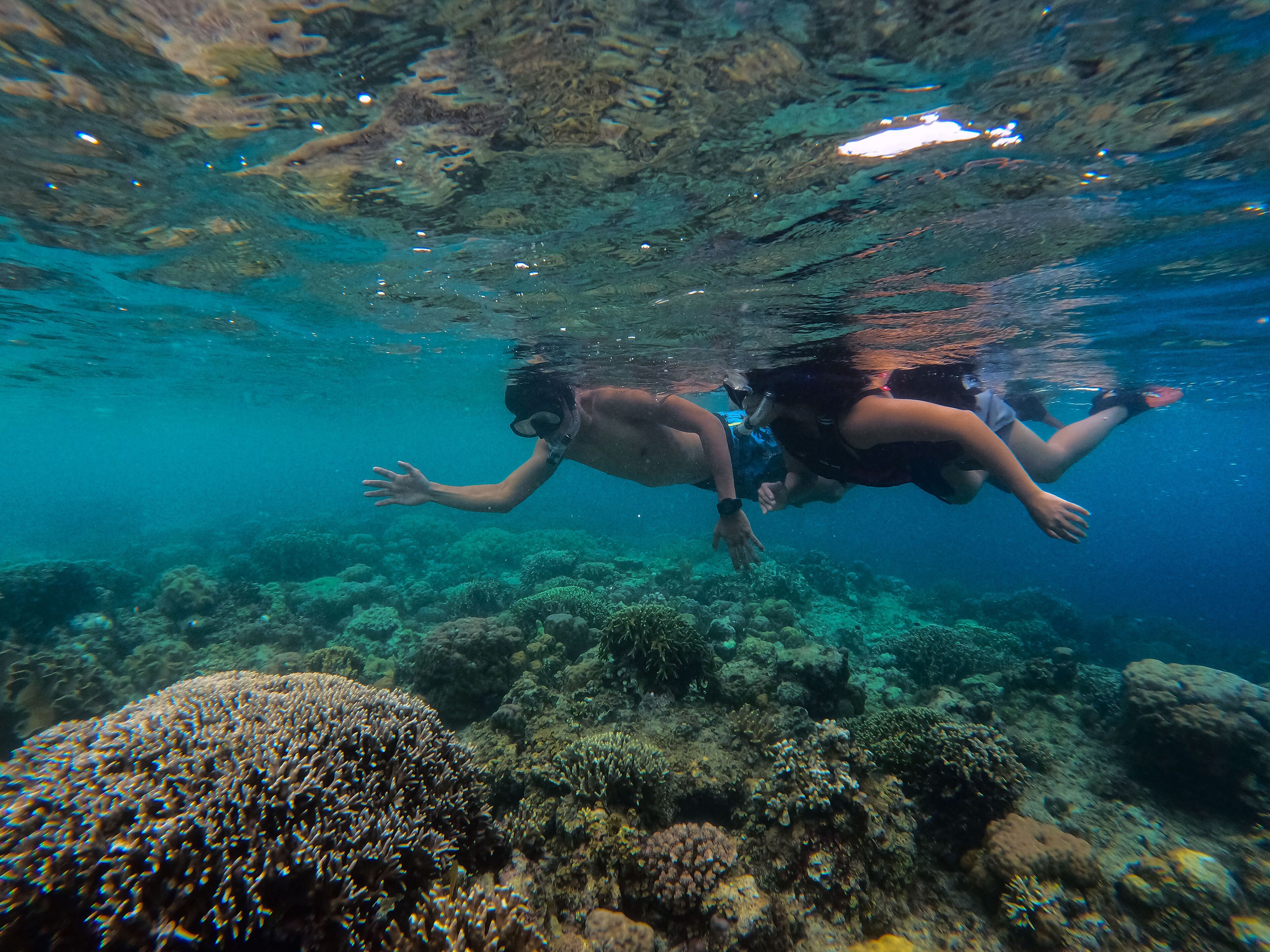 Two people snorkeling underwater with coral formations visible.