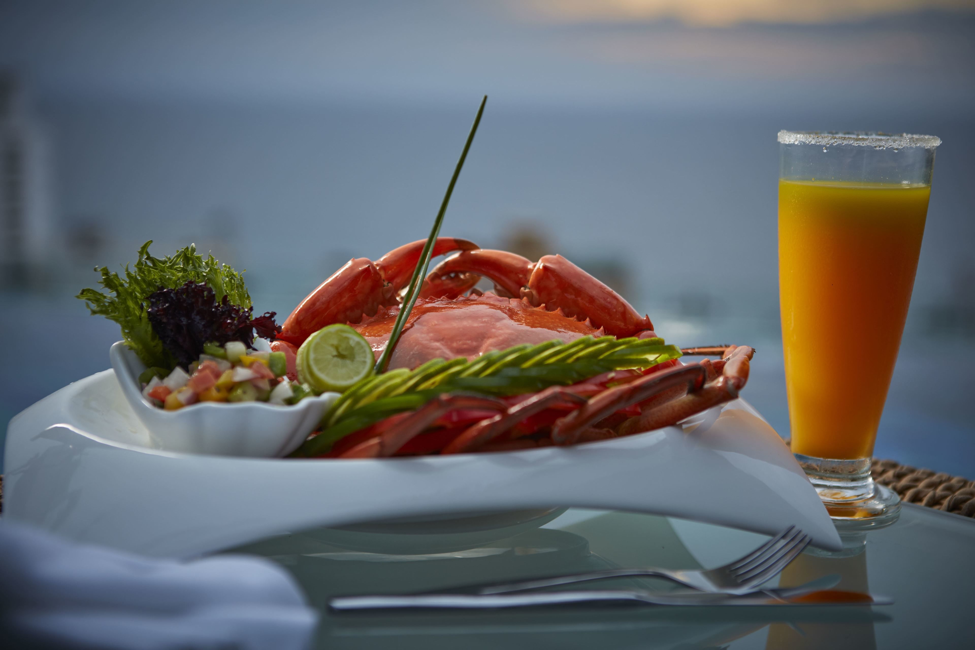 A lobster tail with a garnish, a small salad, and a glass of orange juice on a table with a view of the ocean.