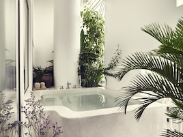 Een aparte badkuip en douche, een bubbelbad, designer toiletartikelen