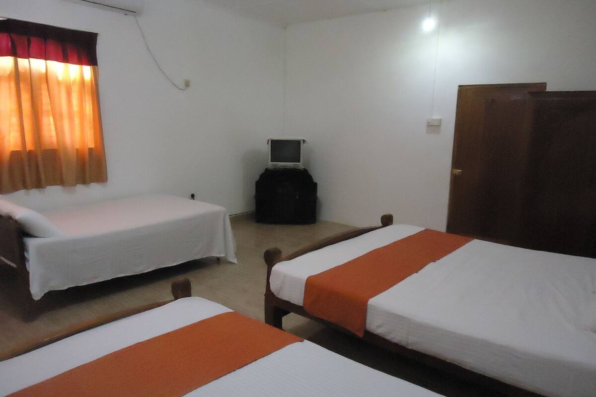 A room with two single beds, a television, and a wardrobe.