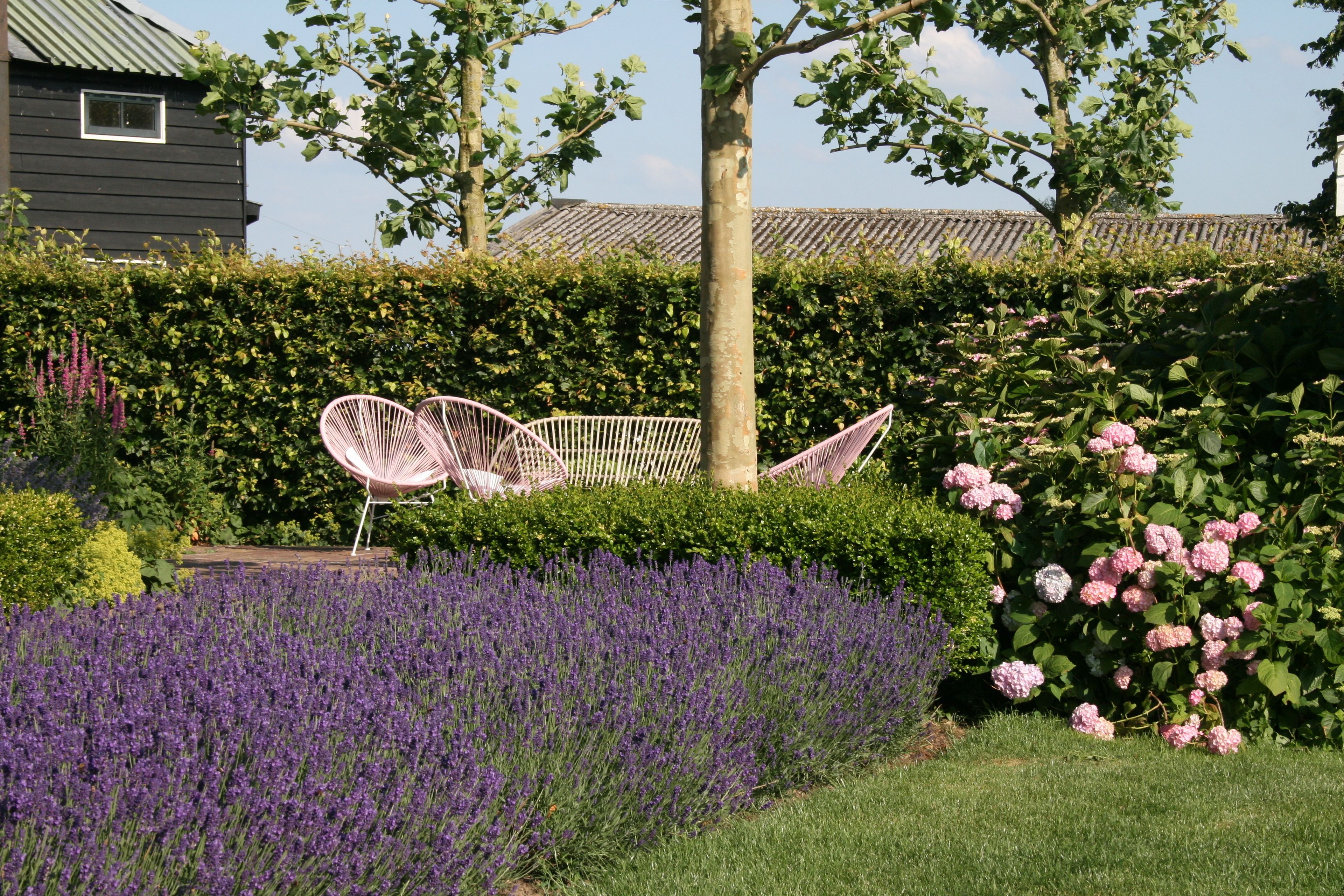 Foto - Boutique hotel Villa Oldenhoff