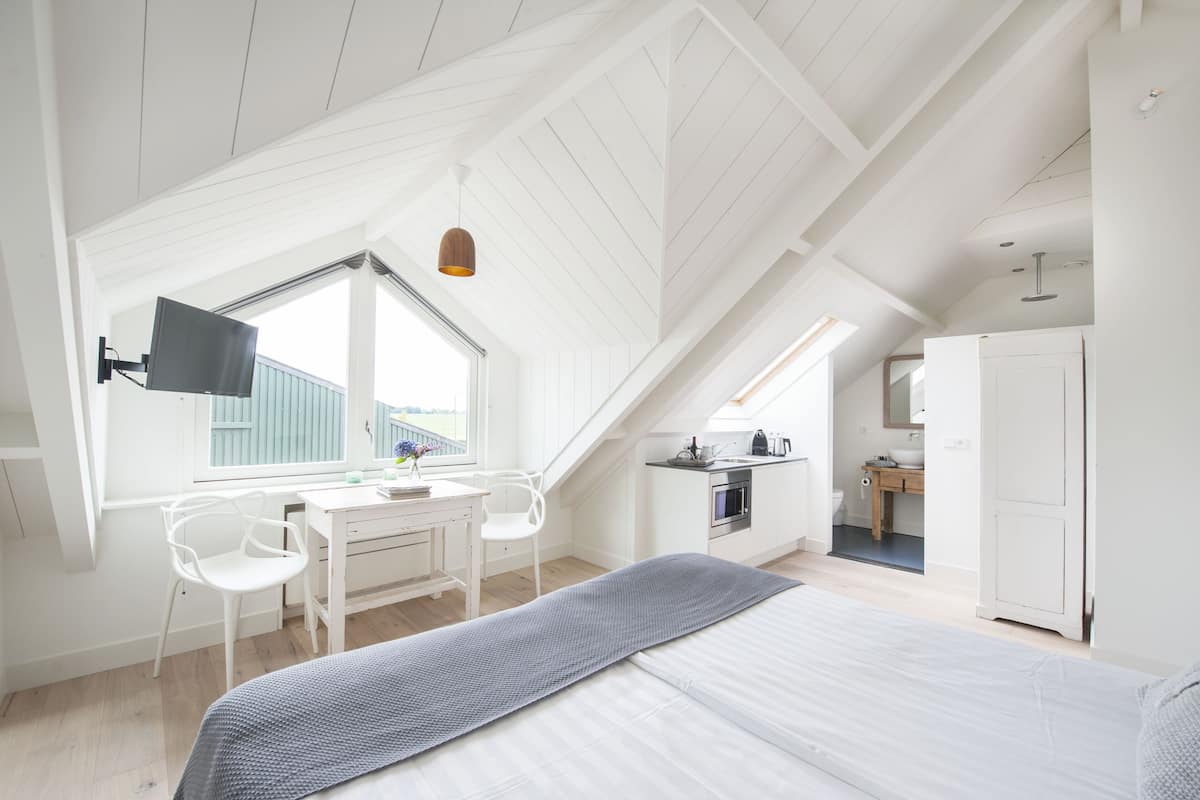 A modern, well-lit room with a sloped ceiling, a bed, a desk with a chair, a TV, and a view of the outside.