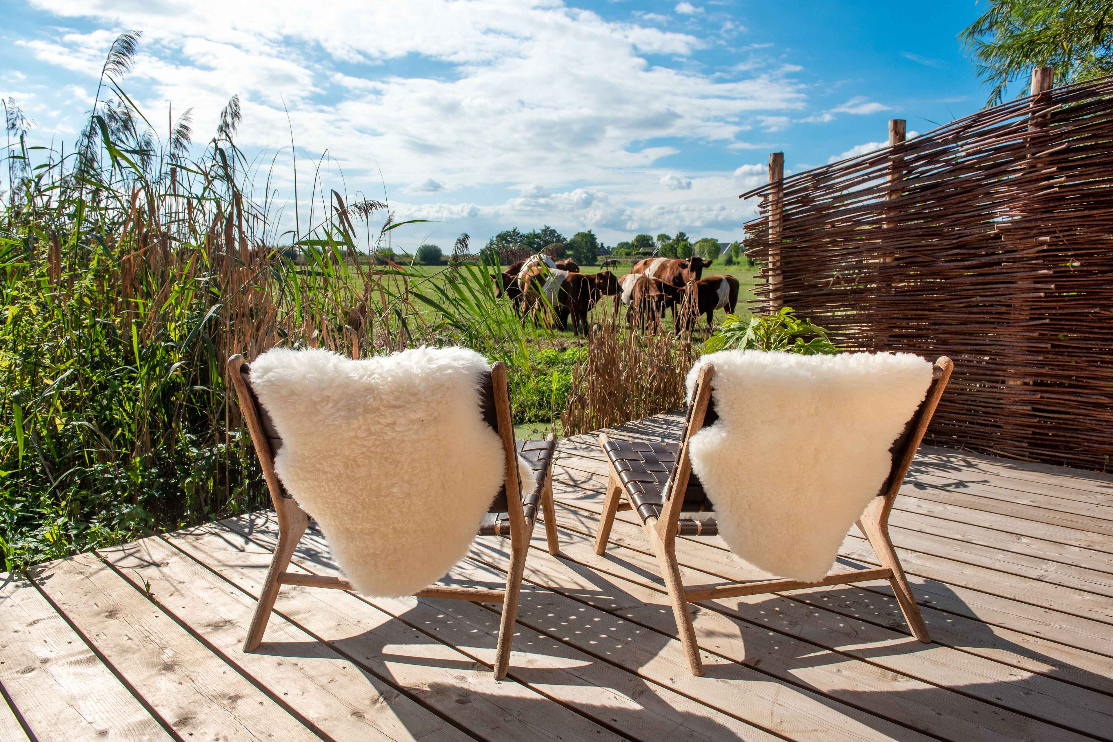 Foto - Boutique hotel Villa Oldenhoff