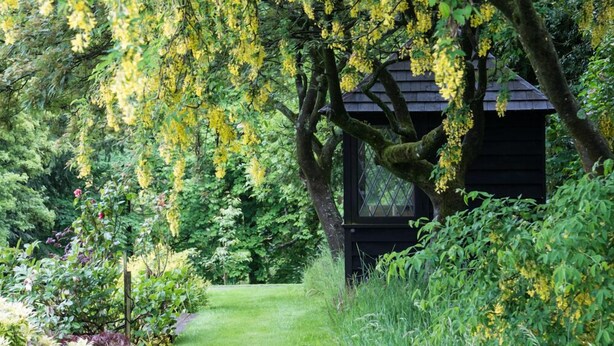 A garden pathway leading to a gazebo with a dark roof, surrounded by lush greenery and yellow flowering trees. - West Plean House (Stirling)