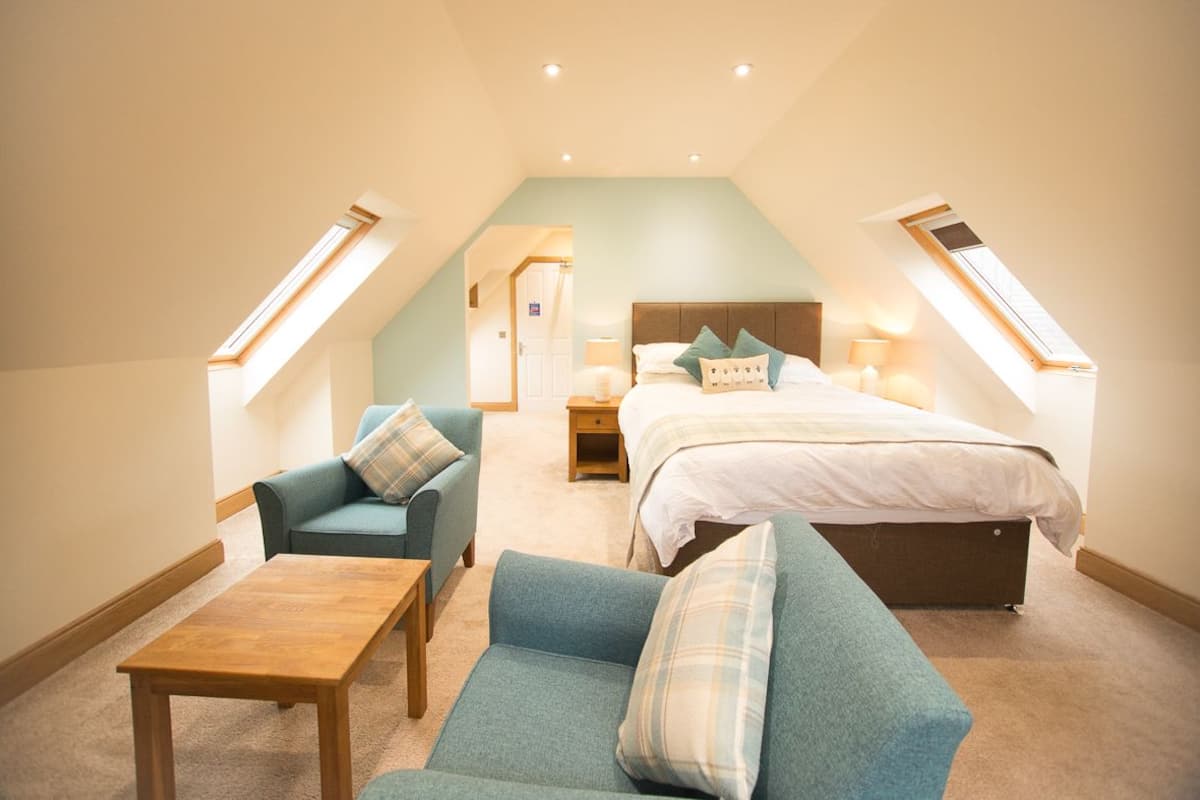 A bedroom with a large bed, two sofas, a small table, and a nightstand. There are two skylights providing natural light.
