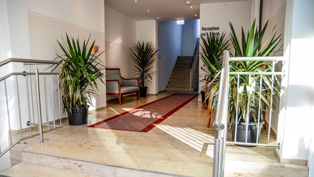 A staircase with a red carpet, potted plants, and a chair in a modern interior. - Hotel Krone (Freilassing)