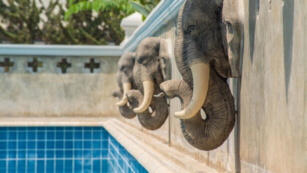A swimming pool with decorative elephant sculptures on the wall. - PhoomThai Garden (Phrae)
