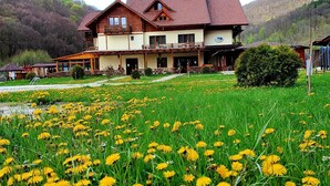 Une maison en bois à deux étages, dotée d’un balcon, entourée d’un champ verdoyant où poussent des fleurs jaunes.