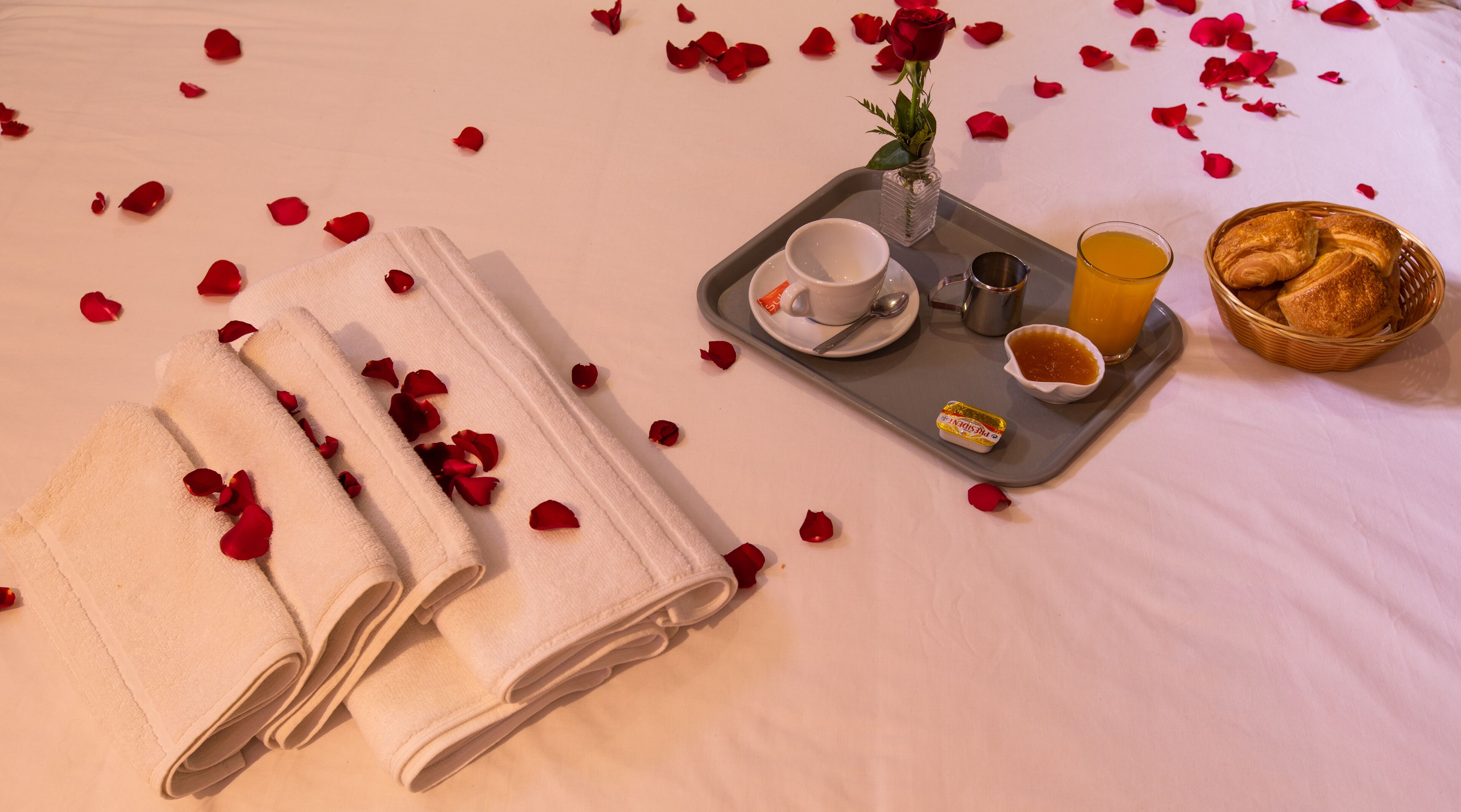 Foto - Hotel Toulousain