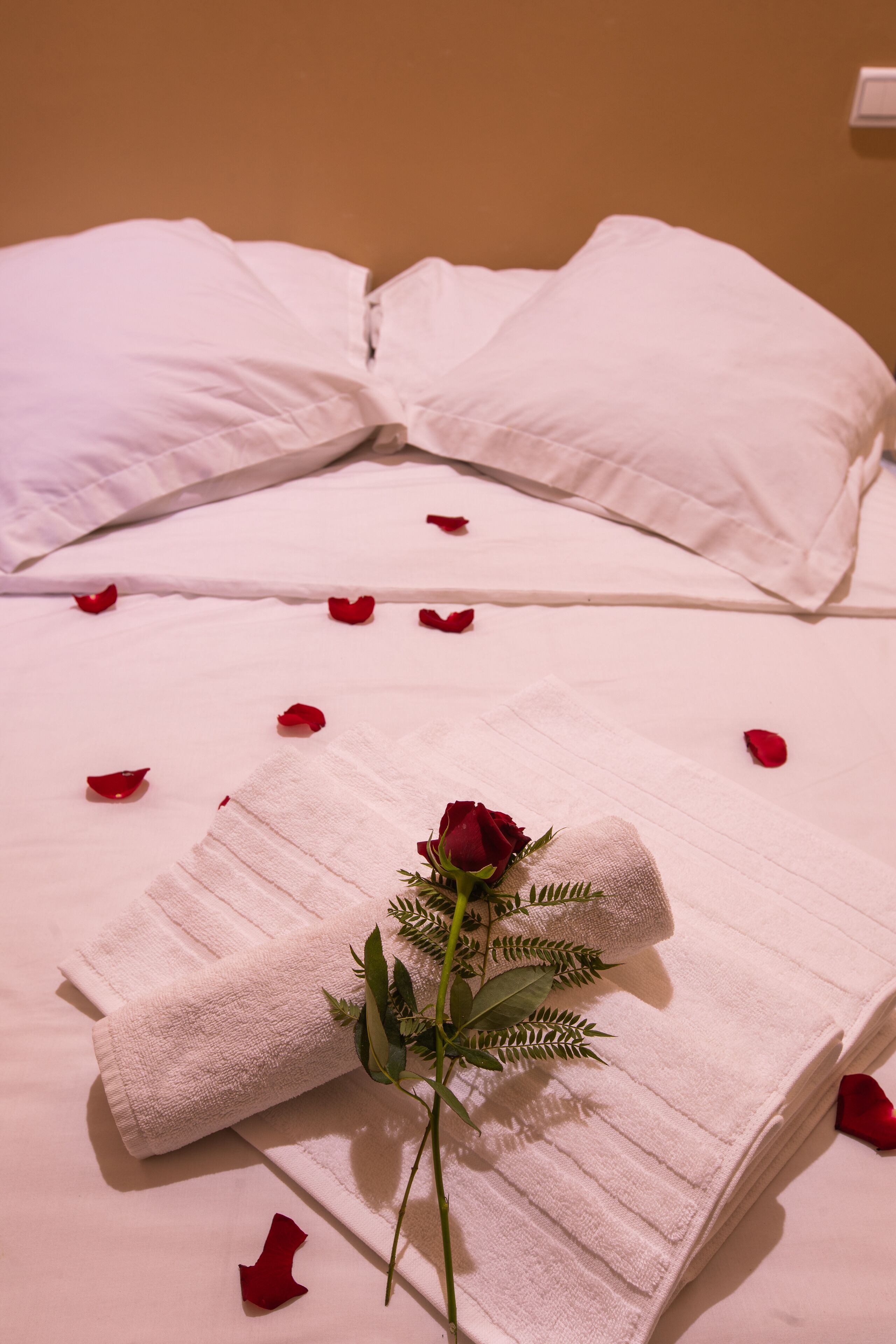 Foto - Hotel Toulousain