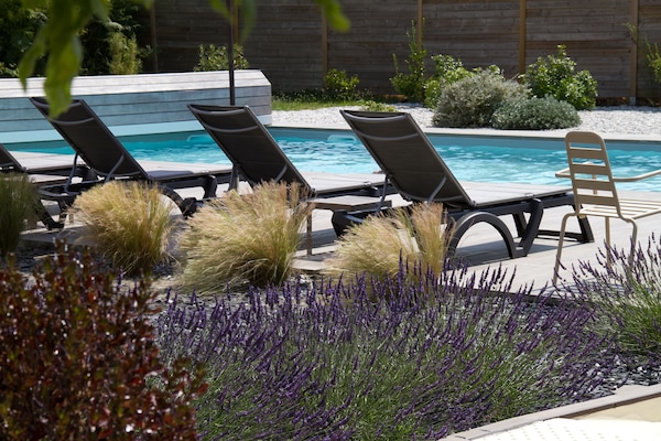 Seasonal outdoor pool, pool umbrellas, sun loungers