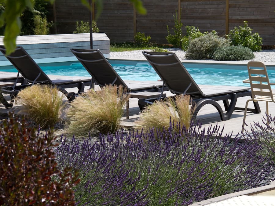 Seasonal outdoor pool, pool umbrellas, pool loungers