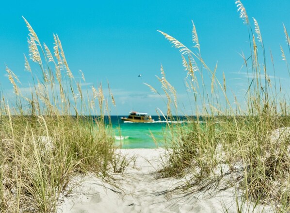 House, 6 Bedrooms, Ocean View, Beachfront | Beach | On the beach