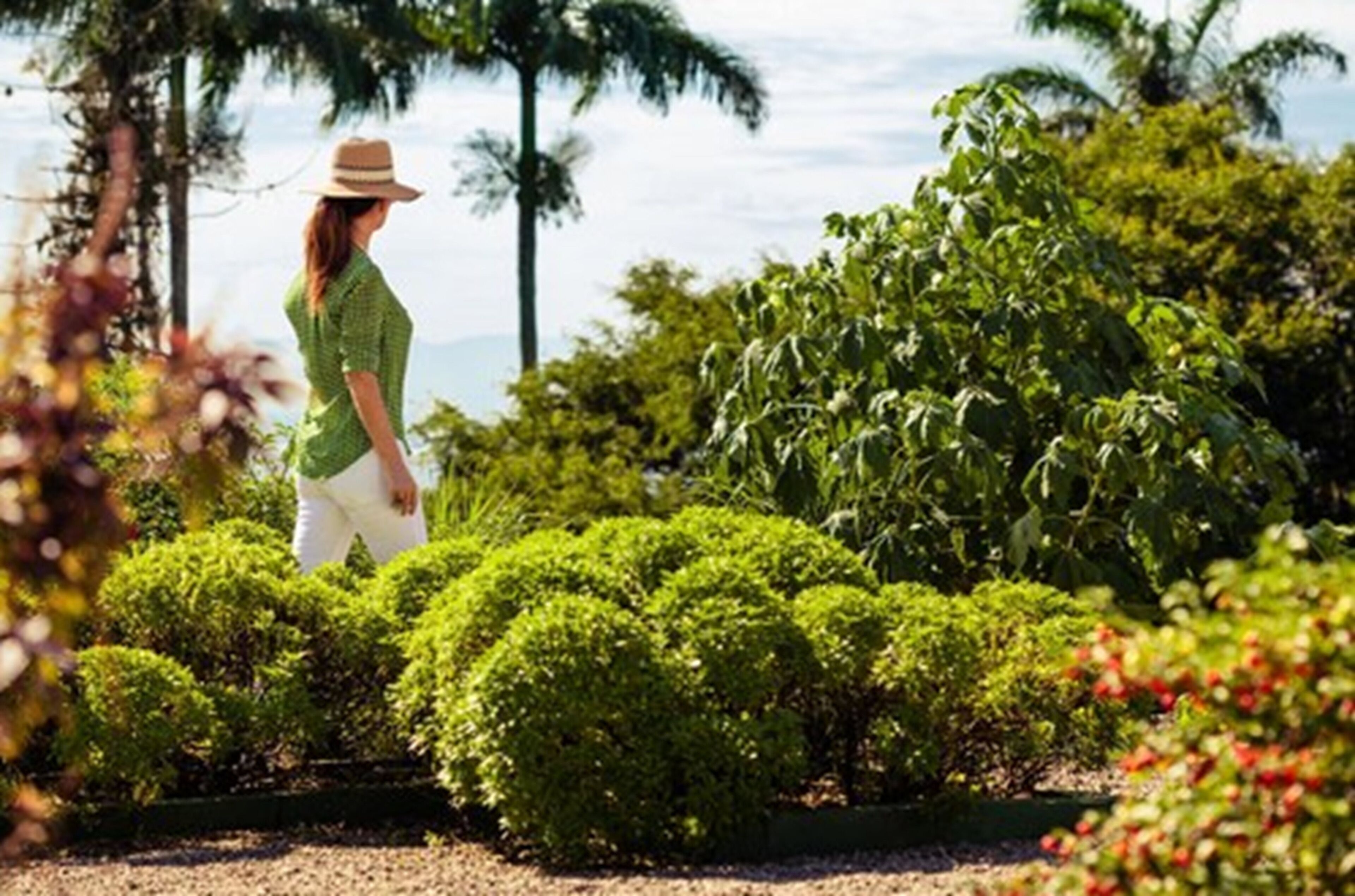 Foto - Vila Santa Teresa