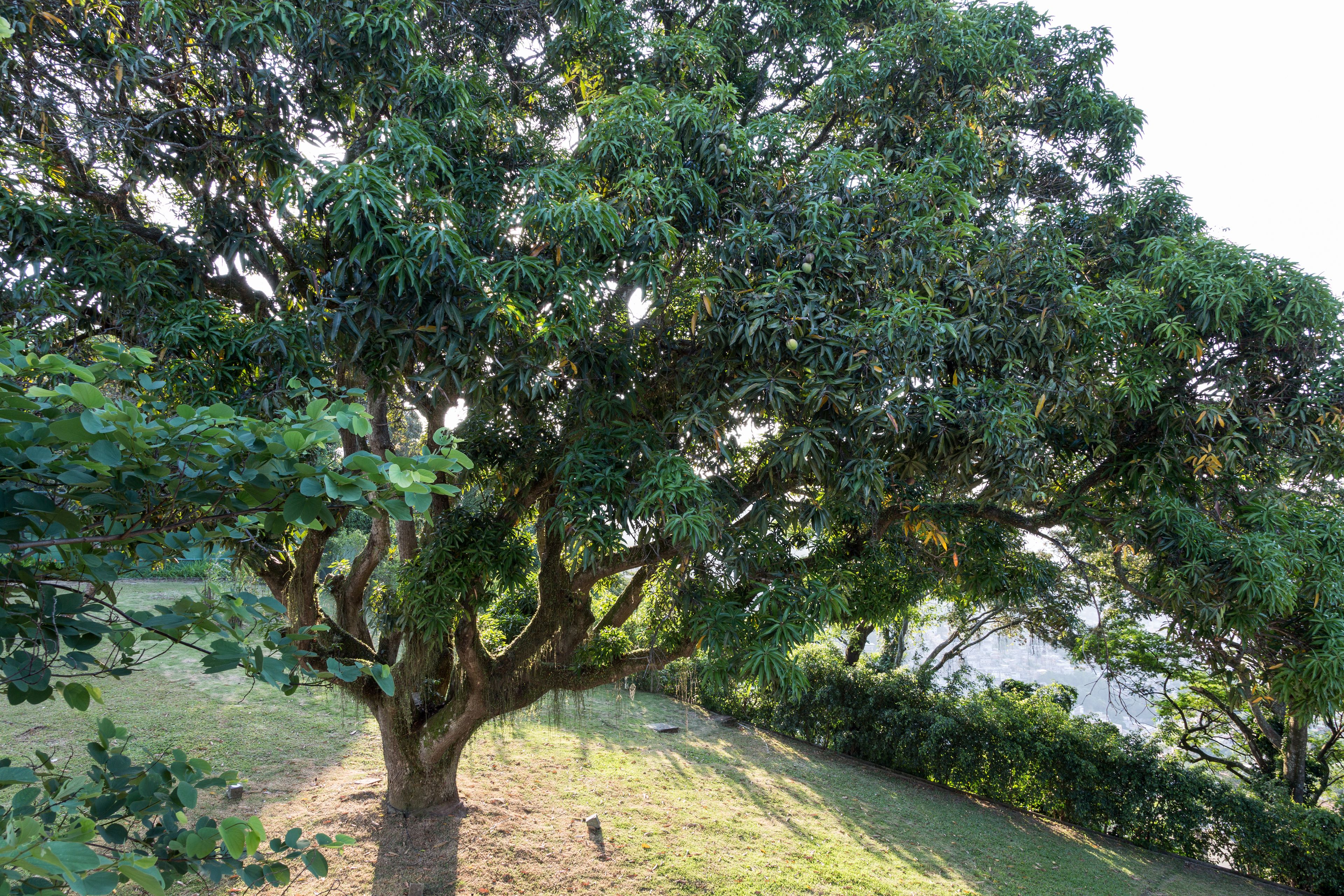 Foto - Vila Santa Teresa