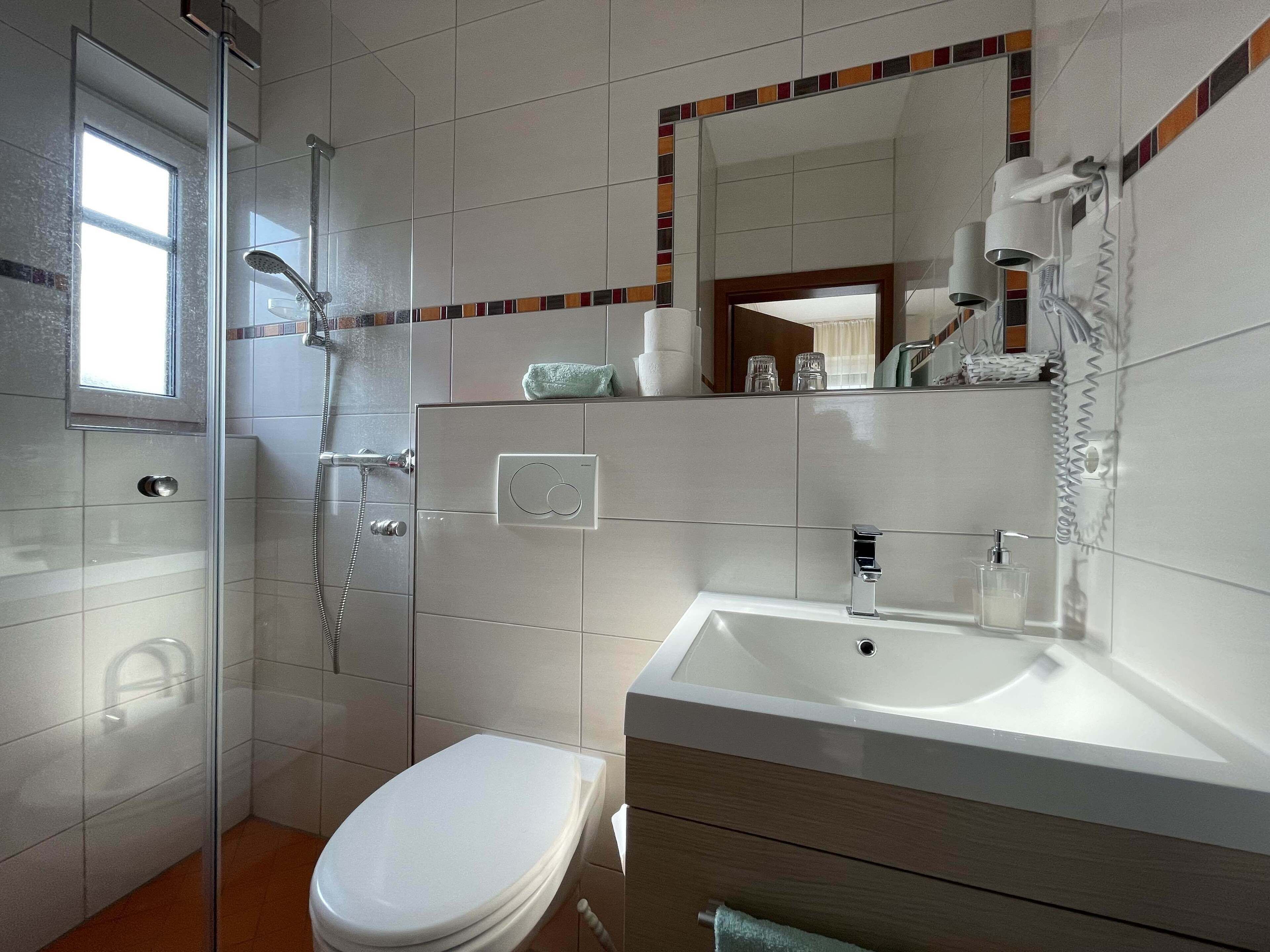 A modern bathroom with a glass-enclosed shower, a white toilet, and a sink with a mirror above it.