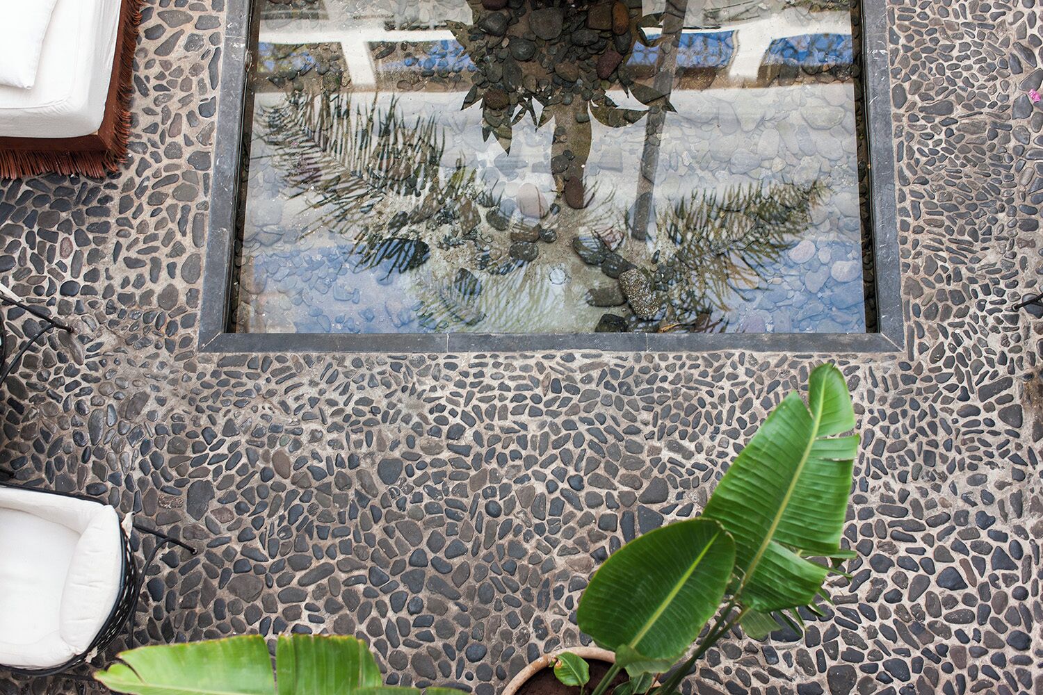 A stone-tiled floor with a glass window reflecting a tree and a chair.