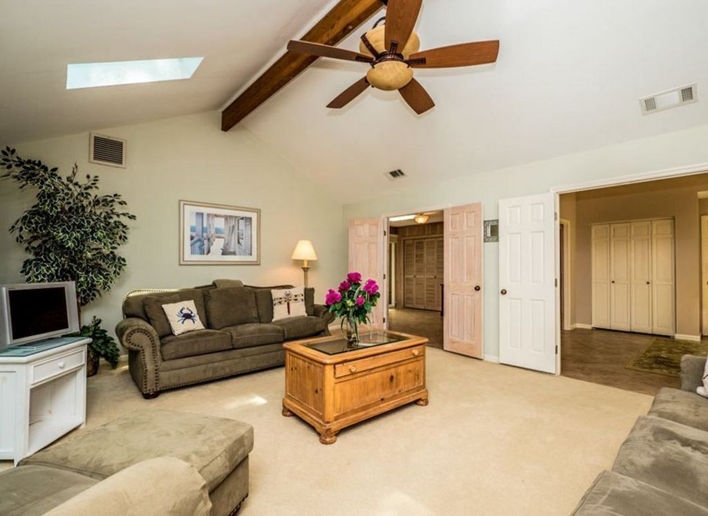 A spacious living room with a ceiling fan, a television, a sofa, a coffee table with flowers, and a large plant.