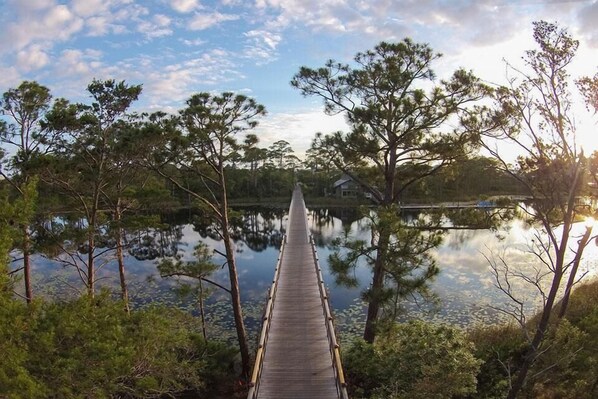A wooden pier leading to a house by a calm lake surrounded by trees.