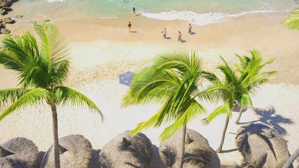 Una playa con palmeras y rocas.